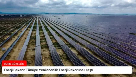 Enerji Bakanı: Türkiye Yenilenebilir Enerji Rekoruna Ulaştı