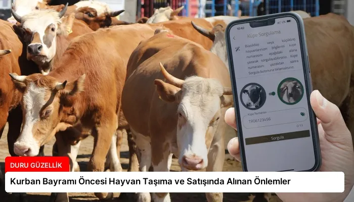 Kurban Bayramı Öncesi Hayvan Taşıma ve Satışında Alınan Önlemler