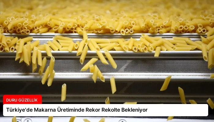 Türkiye’de Makarna Üretiminde Rekor Rekolte Bekleniyor