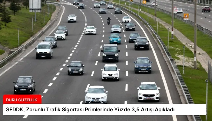 SEDDK, Zorunlu Trafik Sigortası Primlerinde Yüzde 3,5 Artışı Açıkladı