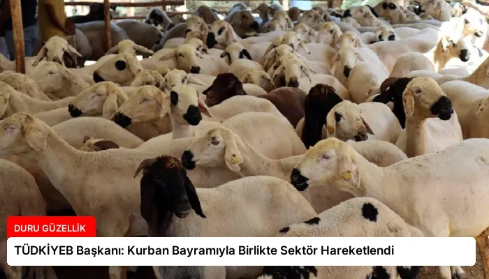 TÜDKİYEB Başkanı: Kurban Bayramıyla Birlikte Sektör Hareketlendi