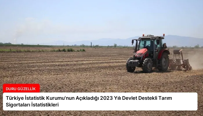 Türkiye İstatistik Kurumu’nun Açıkladığı 2023 Yılı Devlet Destekli Tarım Sigortaları İstatistikleri