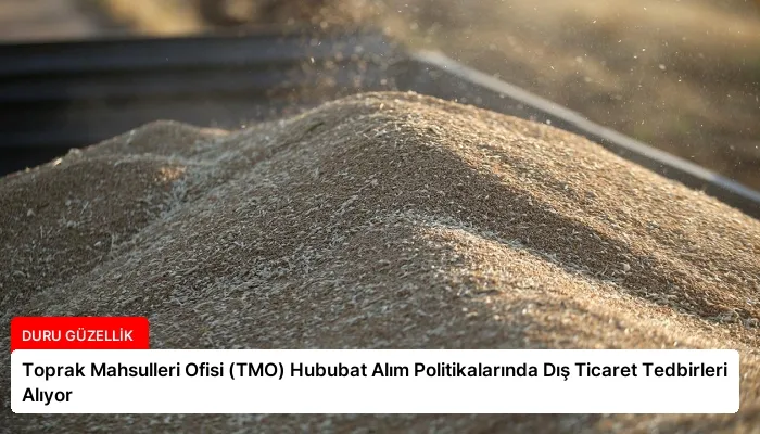 Toprak Mahsulleri Ofisi (TMO) Hububat Alım Politikalarında Dış Ticaret Tedbirleri Alıyor