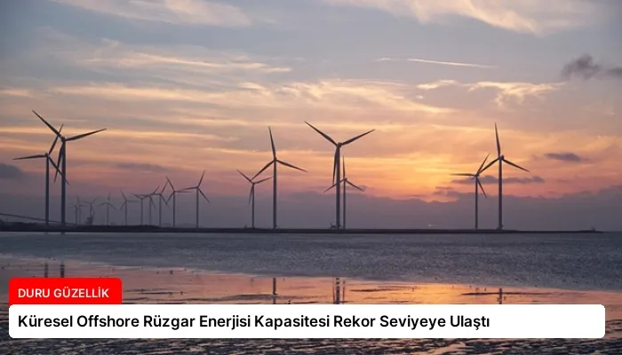 Küresel Offshore Rüzgar Enerjisi Kapasitesi Rekor Seviyeye Ulaştı