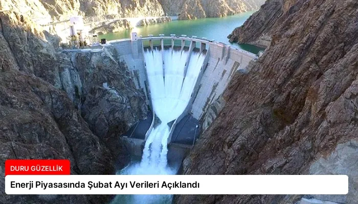 Enerji Piyasasında Şubat Ayı Verileri Açıklandı