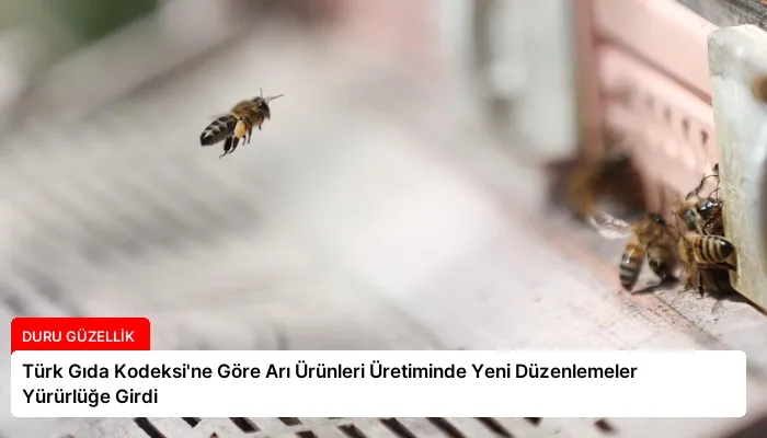 Türk Gıda Kodeksi’ne Göre Arı Ürünleri Üretiminde Yeni Düzenlemeler Yürürlüğe Girdi