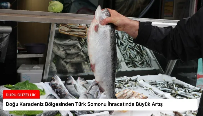 Doğu Karadeniz Bölgesinden Türk Somonu İhracatında Büyük Artış
