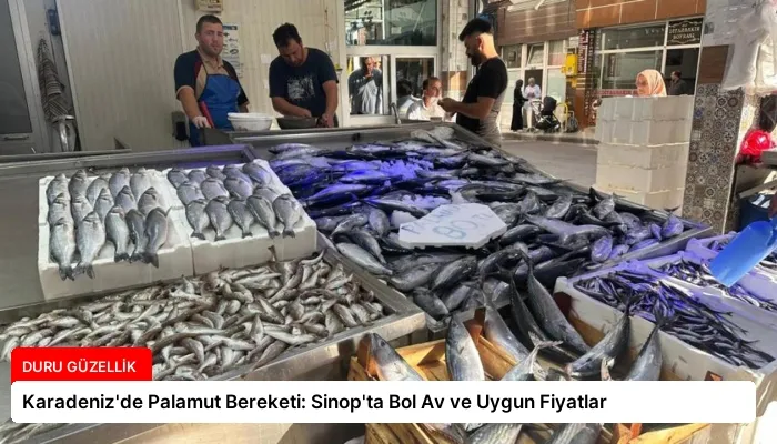 Karadeniz’de Palamut Bereketi: Sinop’ta Bol Av ve Uygun Fiyatlar
