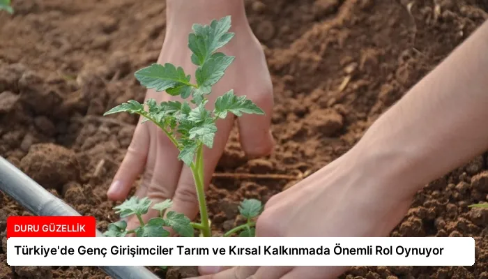Türkiye’de Genç Girişimciler Tarım ve Kırsal Kalkınmada Önemli Rol Oynuyor