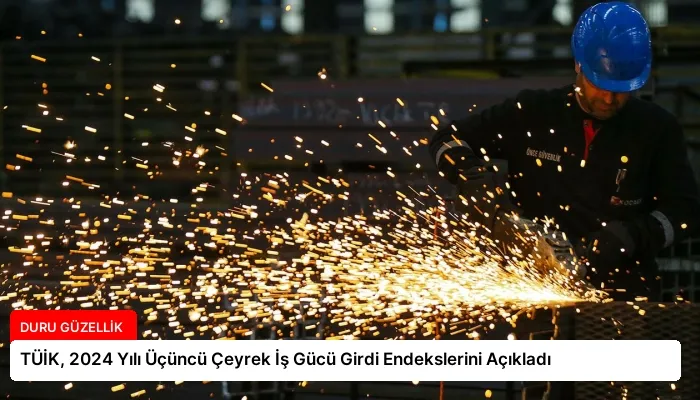 TÜİK, 2024 Yılı Üçüncü Çeyrek İş Gücü Girdi Endekslerini Açıkladı