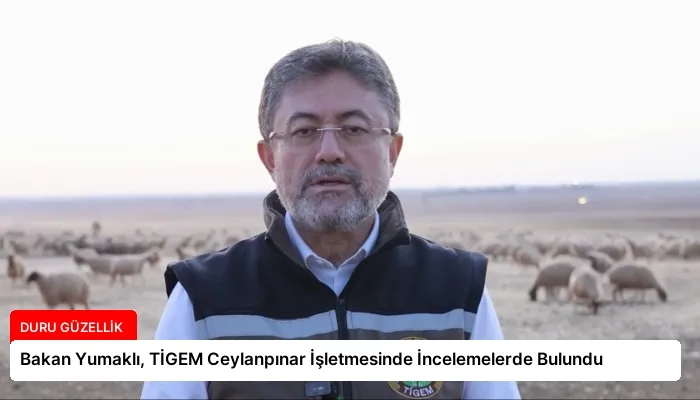 Bakan Yumaklı, TİGEM Ceylanpınar İşletmesinde İncelemelerde Bulundu