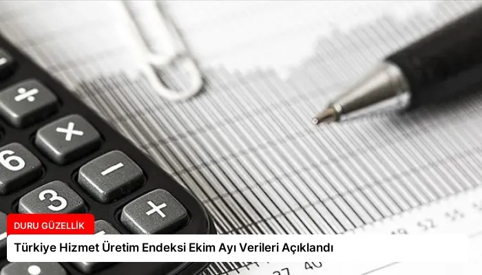 Türkiye Hizmet Üretim Endeksi Ekim Ayı Verileri Açıklandı