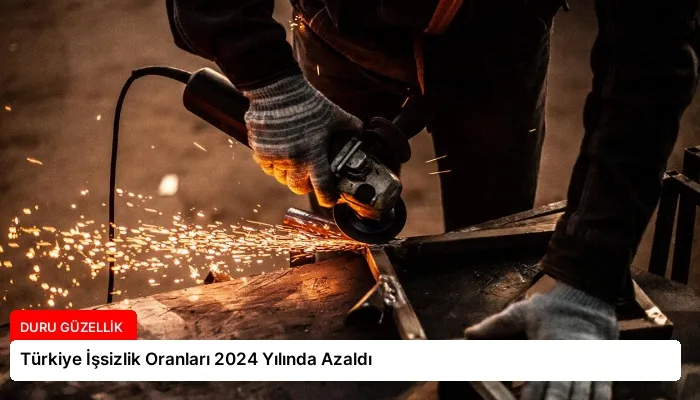 Türkiye İşsizlik Oranları 2024 Yılında Azaldı
