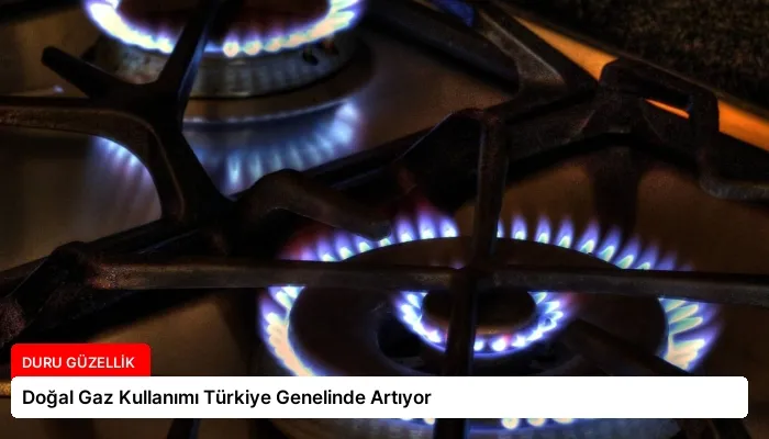 Doğal Gaz Kullanımı Türkiye Genelinde Artıyor