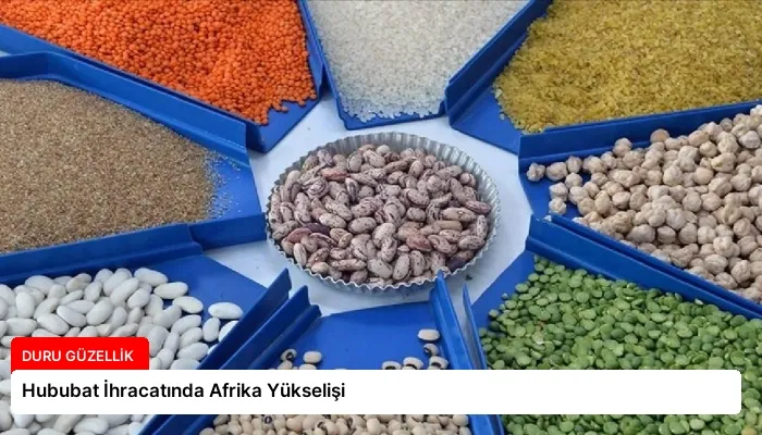 Hububat İhracatında Afrika Yükselişi
