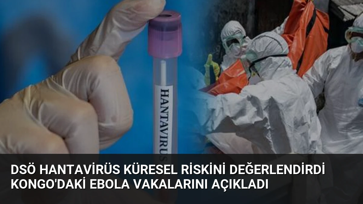 DSÖ Hantavirüs Küresel Riskini Değerlendirdi Kongo’daki Ebola Vakalarını Açıkladı