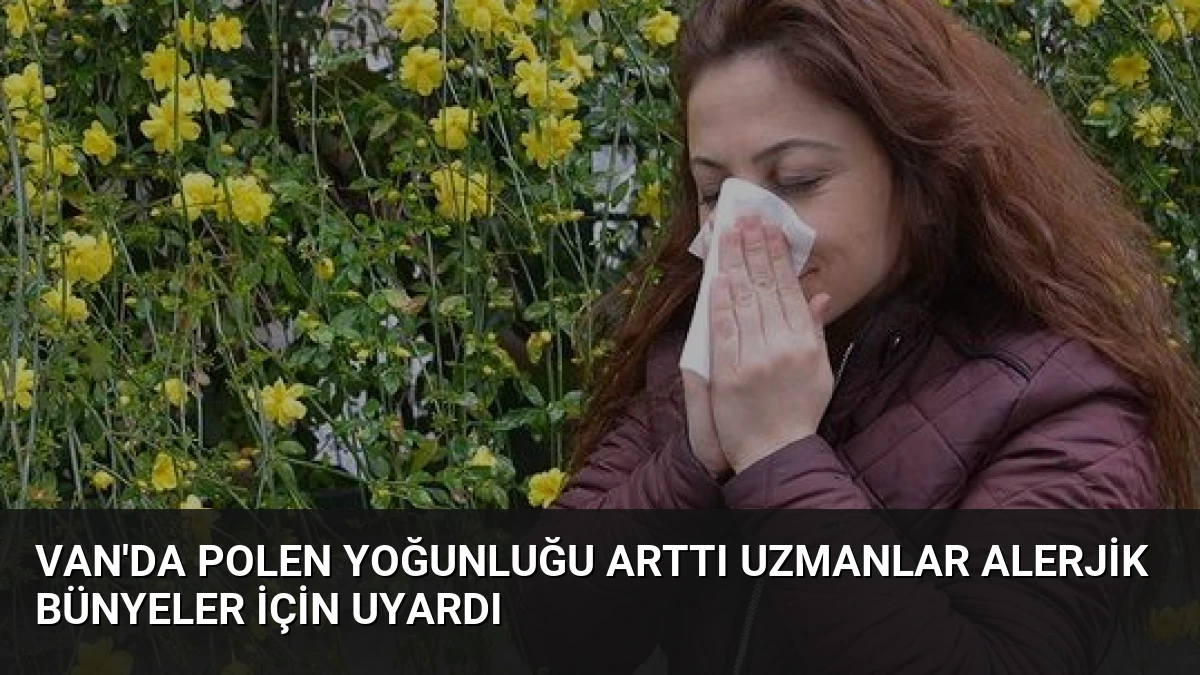 Van’da Polen Yoğunluğu Arttı Uzmanlar Alerjik Bünyeler İçin Uyardı