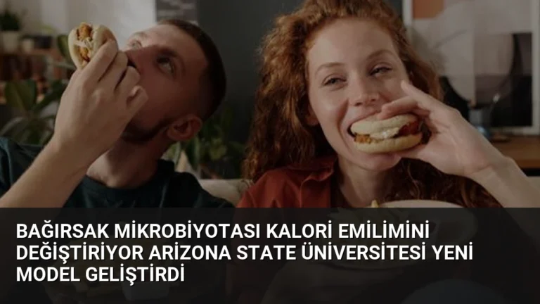 Bağırsak Mikrobiyotası Kalori Emilimini Değiştiriyor Arizona State Üniversitesi Yeni Model Geliştirdi