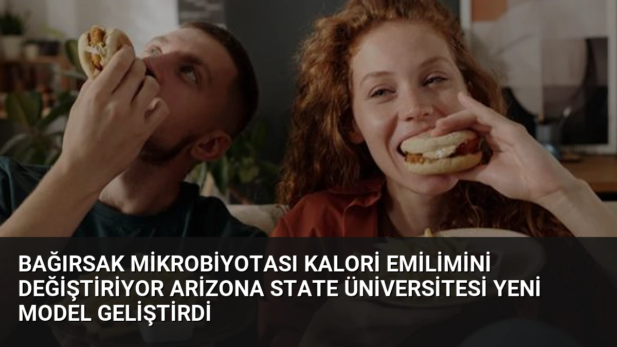 Bağırsak Mikrobiyotası Kalori Emilimini Değiştiriyor Arizona State Üniversitesi Yeni Model Geliştirdi