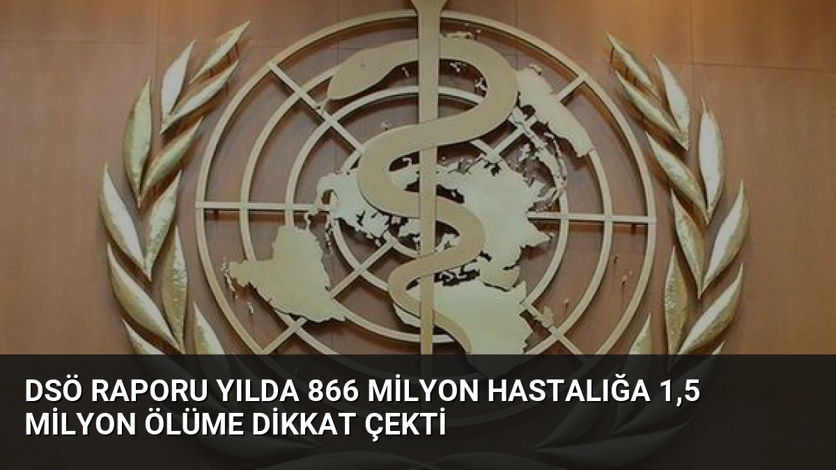 DSÖ Raporu Yılda 866 Milyon Hastalığa 1,5 Milyon Ölüme Dikkat Çekti