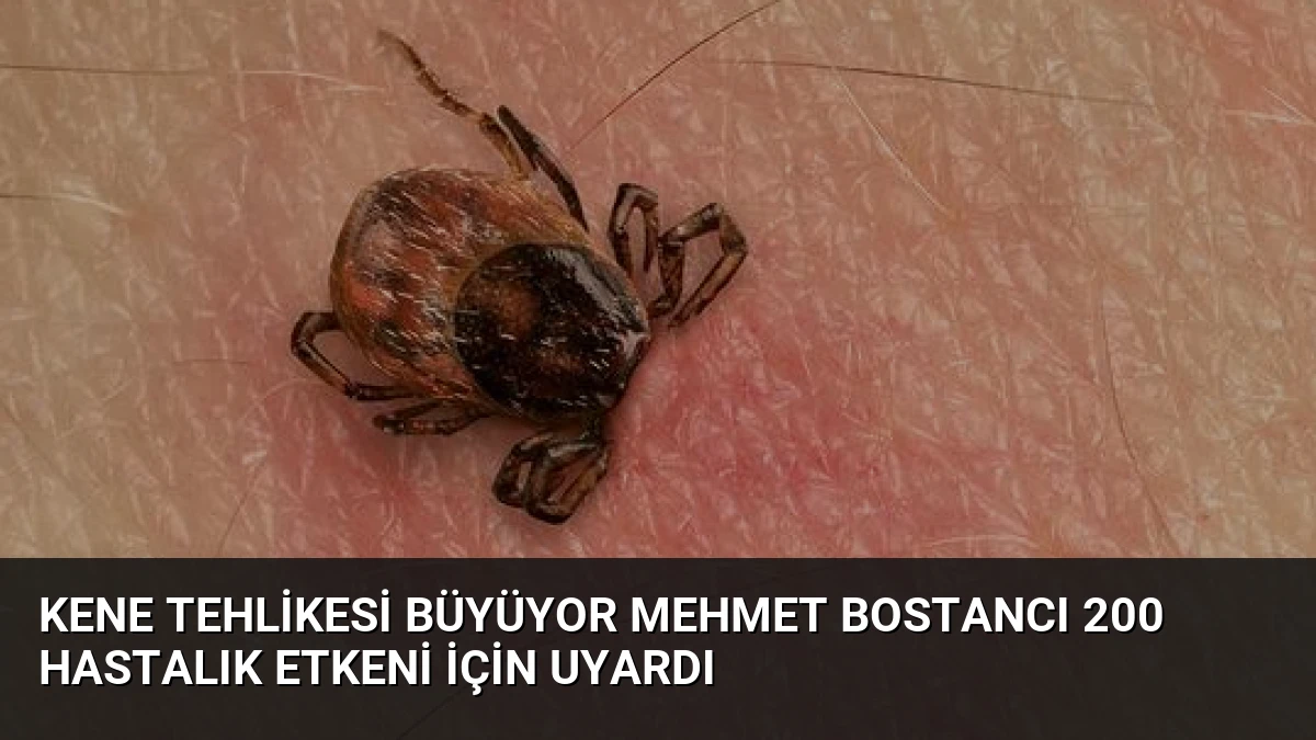 Kene Tehlikesi Büyüyor Mehmet Bostancı 200 Hastalık Etkeni İçin Uyardı