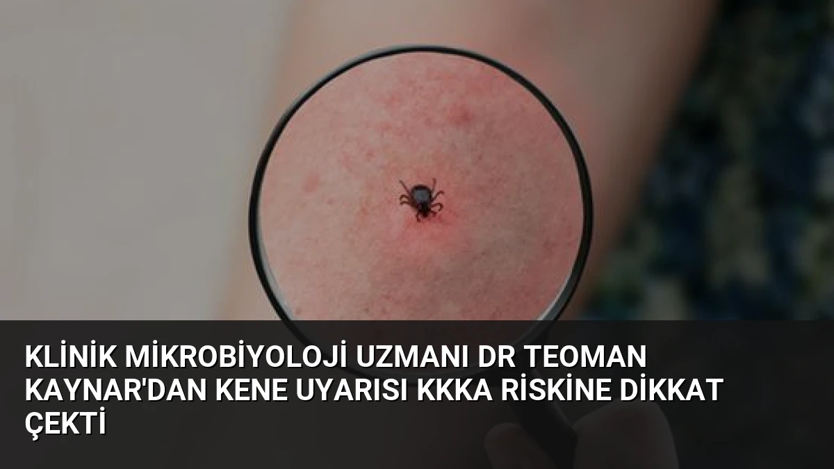 Klinik Mikrobiyoloji Uzmanı Dr Teoman Kaynar’dan Kene Uyarısı KKKA Riskine Dikkat Çekti