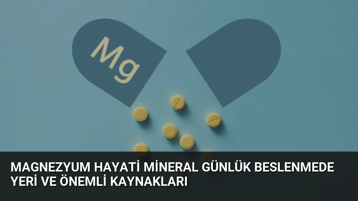 Magnezyum Hayati Mineral Günlük Beslenmede Yeri ve Önemli Kaynakları
