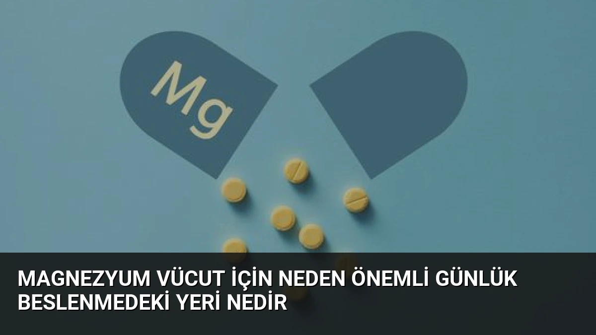 Magnezyum Vücut İçin Neden Önemli Günlük Beslenmedeki Yeri Nedir