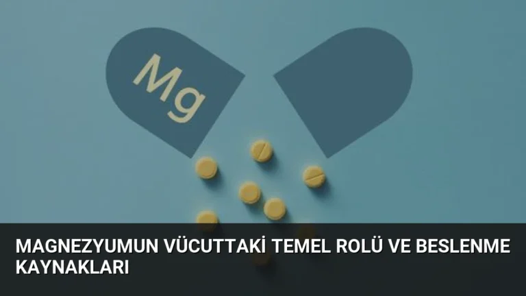 Magnezyumun Vücuttaki Temel Rolü ve Beslenme Kaynakları
