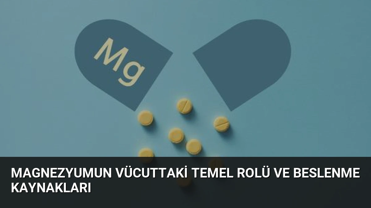 Magnezyumun Vücuttaki Temel Rolü ve Beslenme Kaynakları