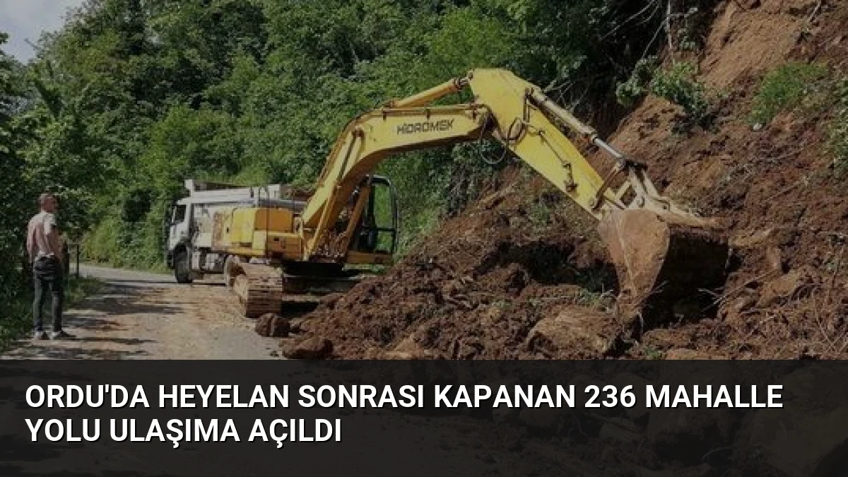 Ordu’da Heyelan Sonrası Kapanan 236 Mahalle Yolu Ulaşıma Açıldı