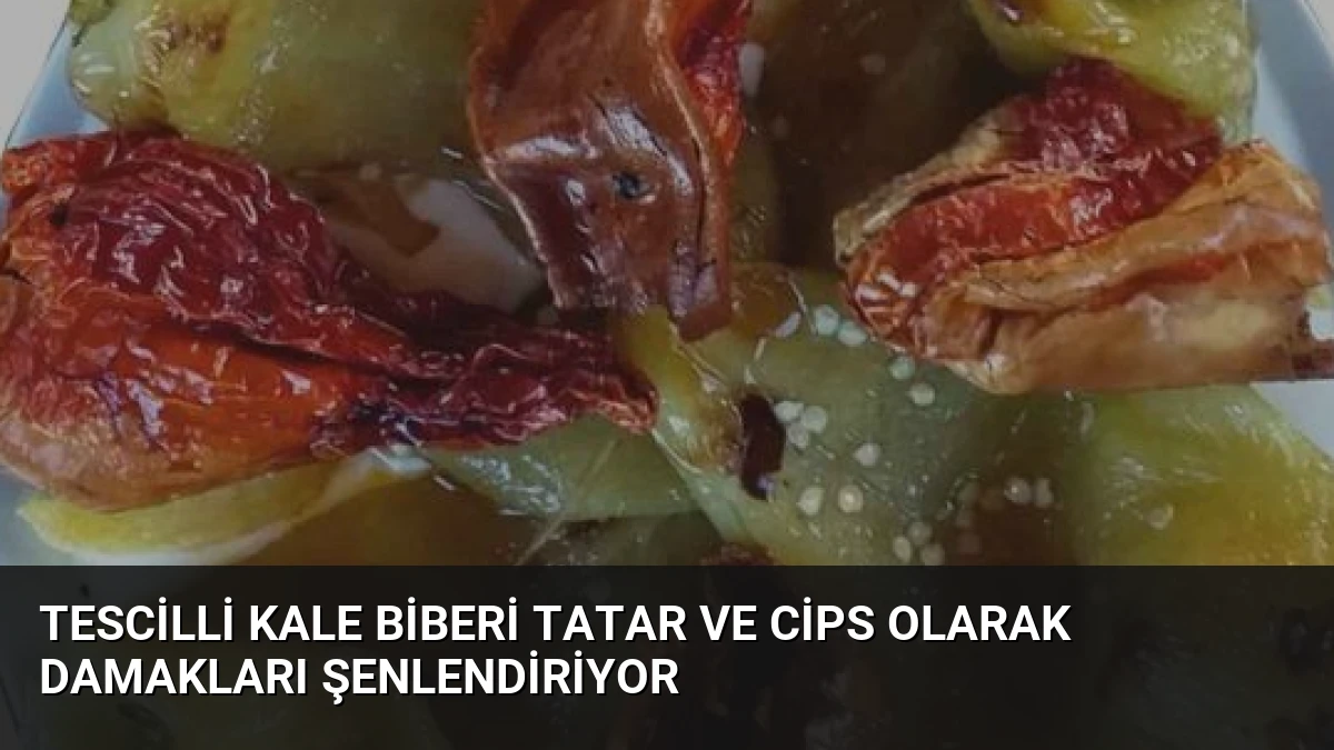 Tescilli Kale Biberi Tatar ve Cips Olarak Damakları Şenlendiriyor