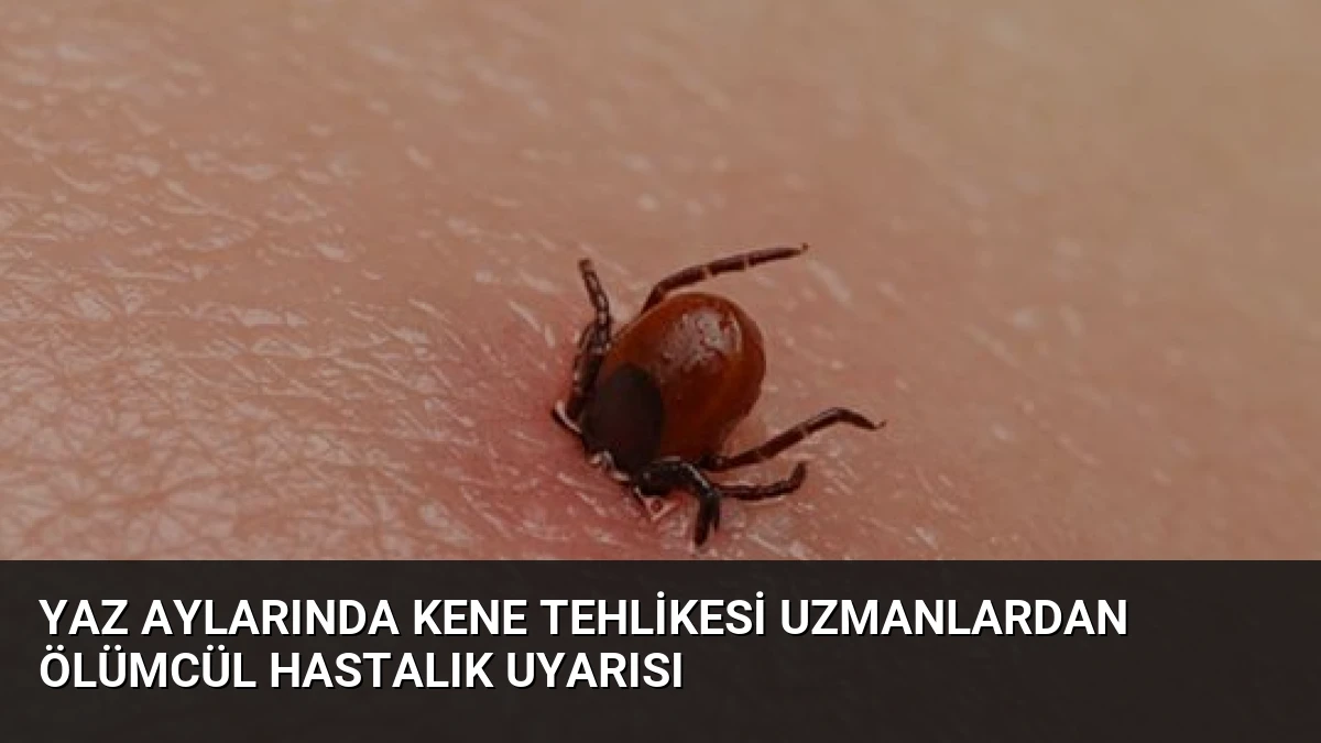 Yaz Aylarında Kene Tehlikesi Uzmanlardan Ölümcül Hastalık Uyarısı