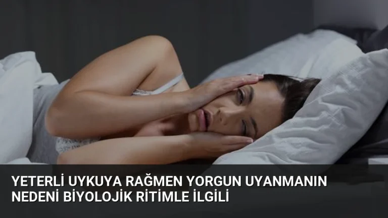 Yeterli Uykuya Rağmen Yorgun Uyanmanın Nedeni Biyolojik Ritimle İlgili
