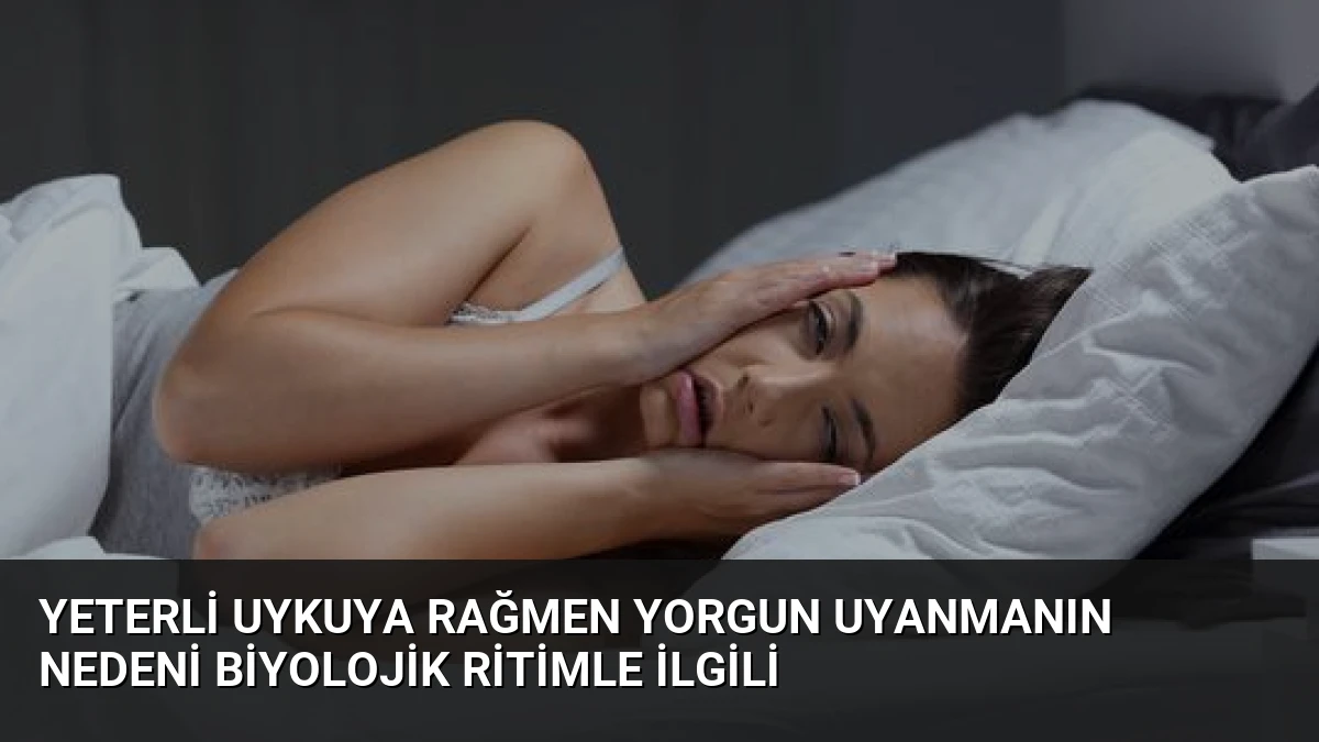 Yeterli Uykuya Rağmen Yorgun Uyanmanın Nedeni Biyolojik Ritimle İlgili