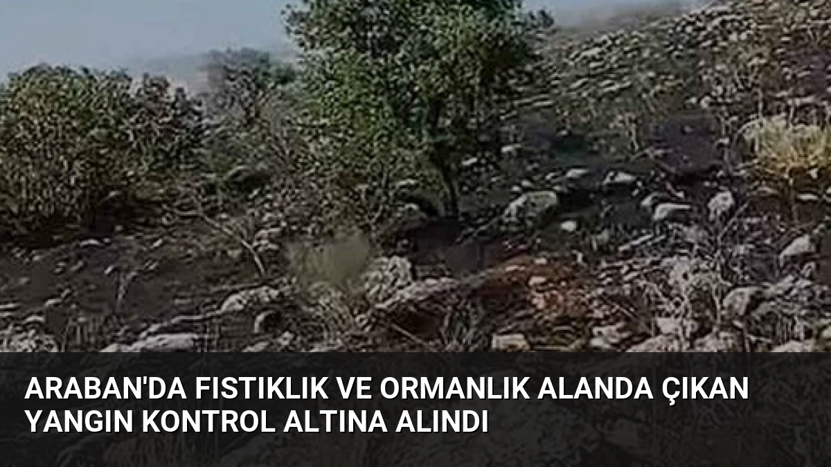 Araban’da Fıstıklık ve Ormanlık Alanda Çıkan Yangın Kontrol Altına Alındı
