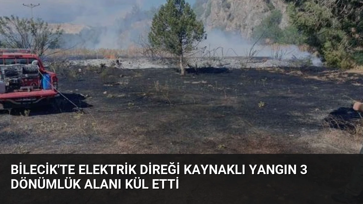 Bilecik’te Elektrik Direği Kaynaklı Yangın 3 Dönümlük Alanı Kül Etti