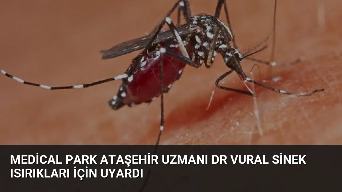 Medical Park Ataşehir Uzmanı Dr Vural Sinek Isırıkları İçin Uyardı