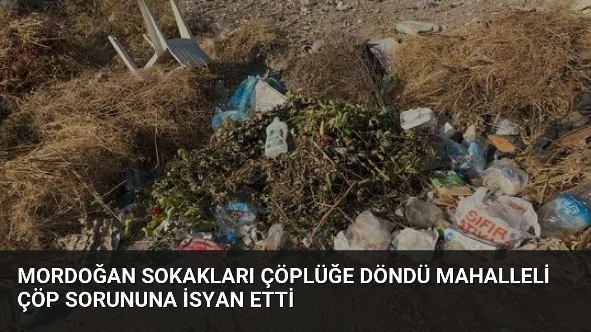 Mordoğan Sokakları Çöplüğe Döndü Mahalleli Çöp Sorununa İsyan Etti