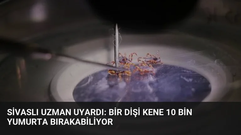 Sivaslı Uzman Uyardı: Bir Dişi Kene 10 Bin Yumurta Bırakabiliyor