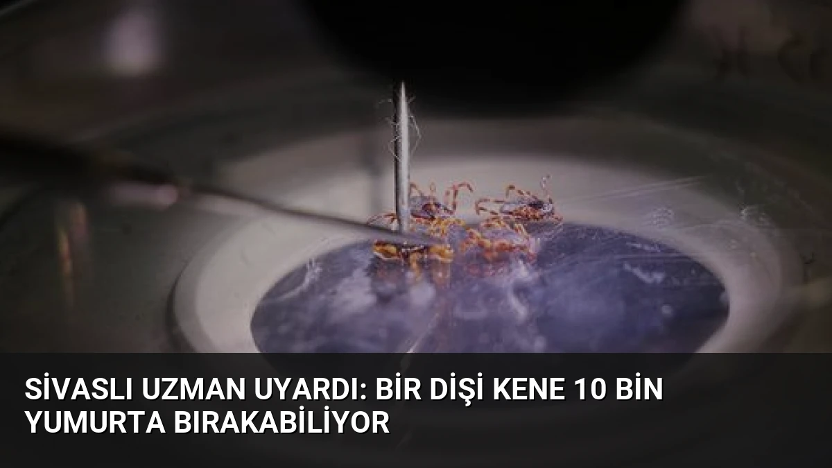 Sivaslı Uzman Uyardı: Bir Dişi Kene 10 Bin Yumurta Bırakabiliyor