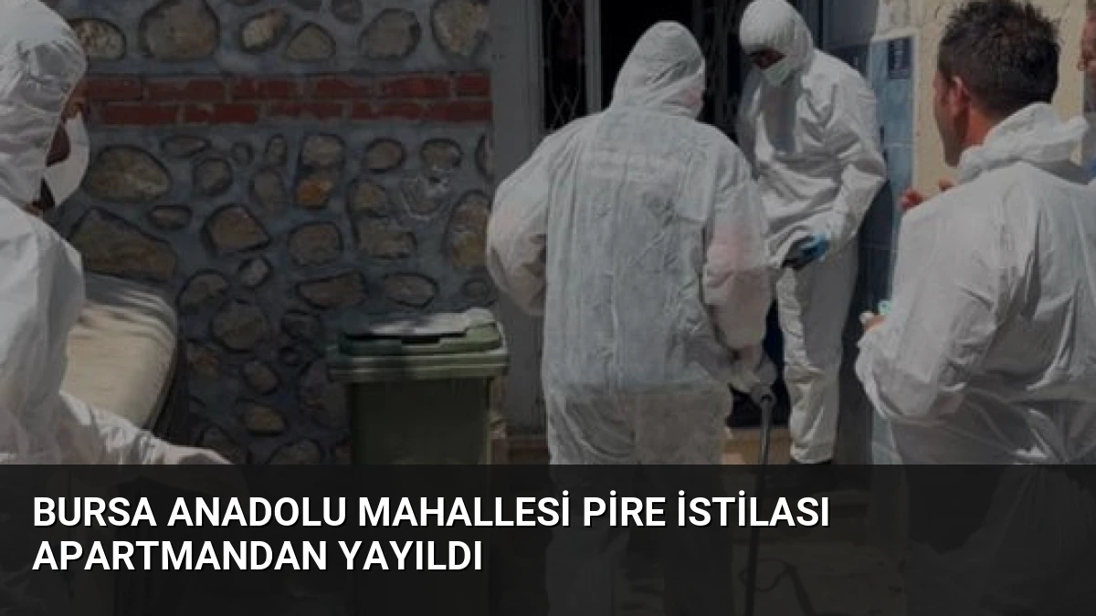 Bursa Anadolu Mahallesi Pire İstilası Apartmandan Yayıldı