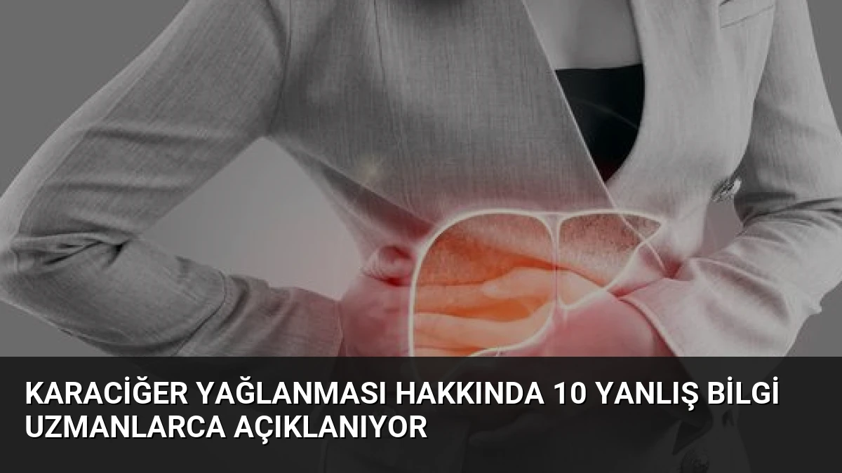 Karaciğer Yağlanması Hakkında 10 Yanlış Bilgi Uzmanlarca Açıklanıyor