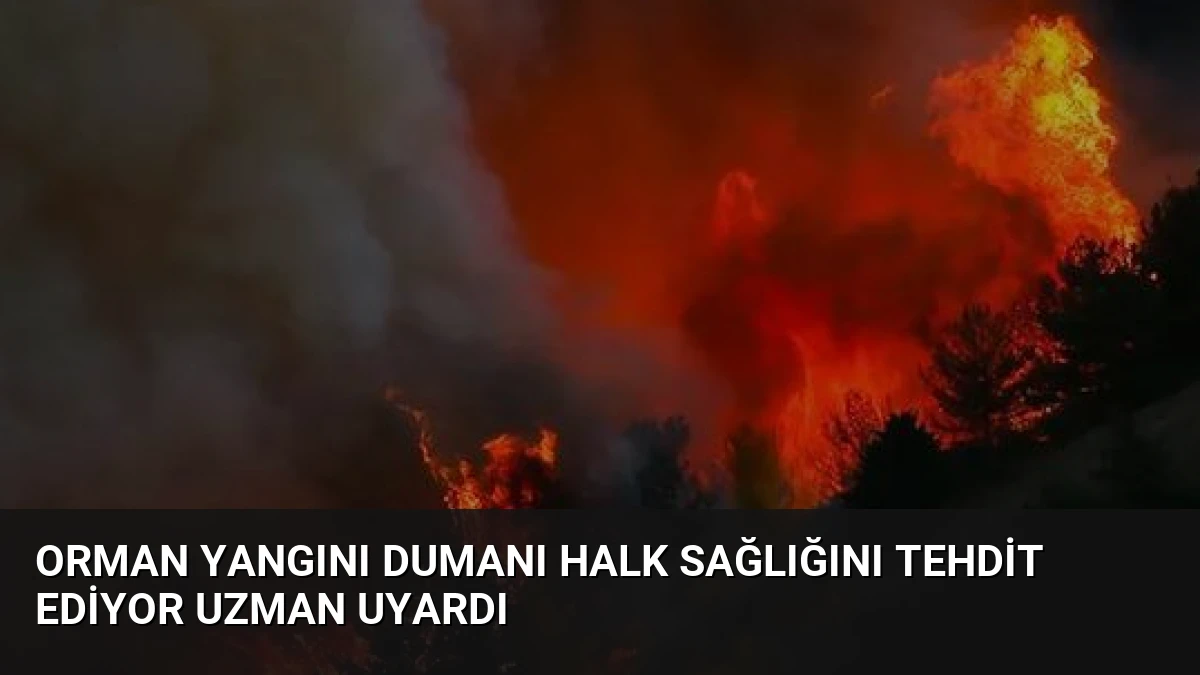 Orman Yangını Dumanı Halk Sağlığını Tehdit Ediyor Uzman Uyardı
