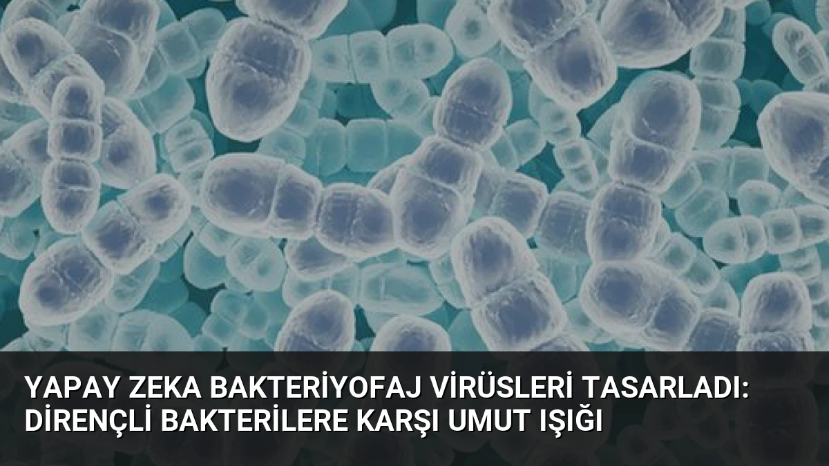 Yapay Zeka Bakteriyofaj Virüsleri Tasarladı: Dirençli Bakterilere Karşı Umut Işığı