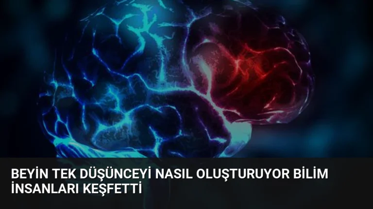 Beyin Tek Düşünceyi Nasıl Oluşturuyor Bilim İnsanları Keşfetti