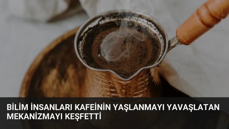 Bilim İnsanları Kafeinin Yaşlanmayı Yavaşlatan Mekanizmayı Keşfetti