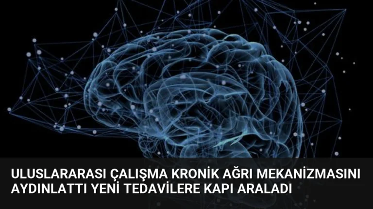 Uluslararası Çalışma Kronik Ağrı Mekanizmasını Aydınlattı Yeni Tedavilere Kapı Araladı