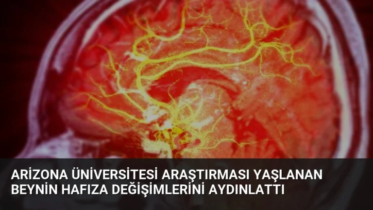 Arizona Üniversitesi Araştırması Yaşlanan Beynin Hafıza Değişimlerini Aydınlattı