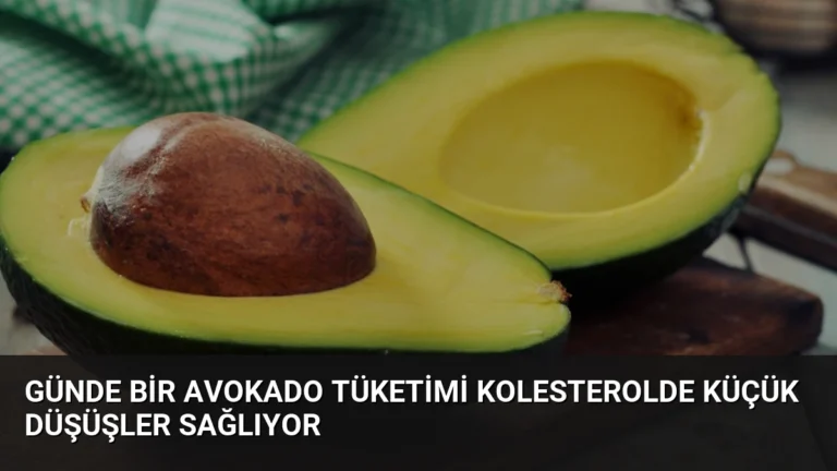 Günde Bir Avokado Tüketimi Kolesterolde Küçük Düşüşler Sağlıyor